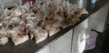 Presos voltam a comer em sacos plásticos no sistema prisional do Piauí