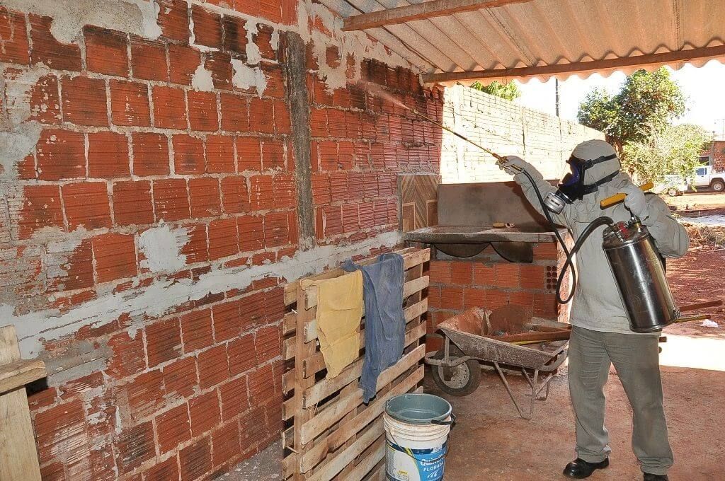 CCZ não informou quais medidas têm sido tomadas para prevenção da doença (Foto: A. Frota)